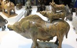 Tết đến, ngắm đàn lợn hàng nghìn con của nhà sử học Dương Trung Quốc