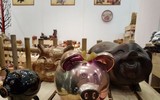 Tết đến, ngắm đàn lợn hàng nghìn con của nhà sử học Dương Trung Quốc
