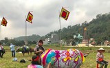 [Ảnh] Ngắm những chú trâu ngộ nghĩnh được 