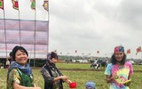 [Ảnh] Ngắm những chú trâu ngộ nghĩnh được 