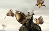 [Ảnh] Ấn tượng các bức ảnh đoạt giải Sony World Photography Awards 2019