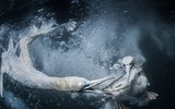 [Ảnh] Ấn tượng các bức ảnh đoạt giải Sony World Photography Awards 2019