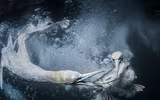 [Ảnh] Ấn tượng các bức ảnh đoạt giải Sony World Photography Awards 2019
