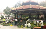 [Ảnh] Chưa khai mạc, Lễ hội hoa anh đào Nhật Bản-Hà Nội đã hút khách