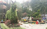 [Ảnh] Chưa khai mạc, Lễ hội hoa anh đào Nhật Bản-Hà Nội đã hút khách