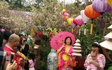 [Ảnh] Người dân Hà Nội chen chân chụp ảnh bên hoa anh đào Nhật Bản