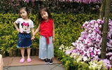 [Ảnh] Người dân Hà Nội chen chân chụp ảnh bên hoa anh đào Nhật Bản