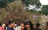 [Ảnh] Người dân Hà Nội chen chân chụp ảnh bên hoa anh đào Nhật Bản