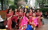 [Ảnh] Người dân Hà Nội chen chân chụp ảnh bên hoa anh đào Nhật Bản