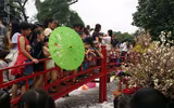 [Ảnh] Người dân Hà Nội chen chân chụp ảnh bên hoa anh đào Nhật Bản