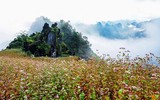 [Ảnh] Việt Nam đẹp tựa tiên cảnh qua các bức ảnh 
