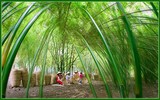 [Ảnh] Việt Nam đẹp tựa tiên cảnh qua các bức ảnh 