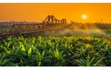 [Ảnh] Việt Nam đẹp tựa tiên cảnh qua các bức ảnh 