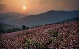 [Ảnh] Việt Nam đẹp tựa tiên cảnh qua các bức ảnh 
