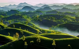 [ẢNH] Việt Nam đẹp ngỡ ngàng từ góc nhìn...trên mây