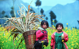 [ẢNH] Cái rét mướt của mùa đông vùng cao qua ánh nhìn trẻ thơ