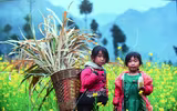 [ẢNH] Cái rét mướt của mùa đông vùng cao qua ánh nhìn trẻ thơ