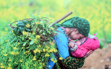 [ẢNH] Cái rét mướt của mùa đông vùng cao qua ánh nhìn trẻ thơ