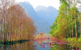 [Ảnh] Ngẩn ngơ mùa hoa súng nhuộm hồng suối Yến chùa Hương