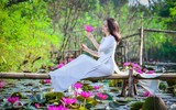 [Ảnh] Ngẩn ngơ mùa hoa súng nhuộm hồng suối Yến chùa Hương