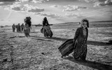 [ẢNH] Các bức ảnh ấn tượng của giải thưởng nhiếp ảnh Sony Photography Awards 2020