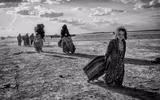 [ẢNH] Các bức ảnh ấn tượng của giải thưởng nhiếp ảnh Sony Photography Awards 2020