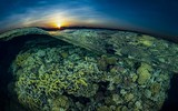 [ẢNH] Các bức ảnh ấn tượng của giải thưởng nhiếp ảnh Sony Photography Awards 2020
