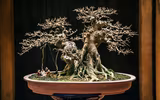 [Ảnh] Đưa thiên nhiên thu nhỏ vào các tác phẩm nghệ thuật Bonsai Phố cổ