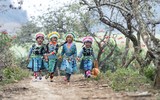 [ẢNH] 50 khoảnh khắc đẹp nhất thế giới về 