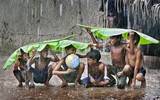 [ẢNH] 50 khoảnh khắc đẹp nhất thế giới về 