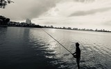 [ẢNH] Hồ Tây - Bức tranh Hà Nội đa sắc màu