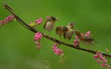 [Ảnh] Những khoảnh khắc ấn tượng về gia đình trên khắp thế giới