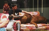 [ẢNH] Ronaldo, Messi, Neymar và những ngôi sao bóng đá hết lòng yêu loài chó
