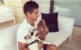 [ẢNH] Ronaldo, Messi, Neymar và những ngôi sao bóng đá hết lòng yêu loài chó