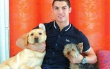 [ẢNH] Ronaldo, Messi, Neymar và những ngôi sao bóng đá hết lòng yêu loài chó