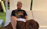 [ẢNH] Ronaldo, Messi, Neymar và những ngôi sao bóng đá hết lòng yêu loài chó
