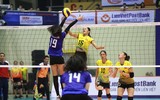 [ẢNH] Dàn chân dài 