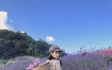 [ẢNH] Nhan sắc 
