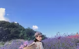 [ẢNH] Nhan sắc 