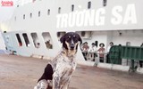 Những cư dân đặc biệt ở Trường Sa vùng biển đảo tiền tiêu Tổ quốc