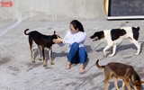 Những cư dân đặc biệt ở Trường Sa vùng biển đảo tiền tiêu Tổ quốc