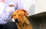 Những cư dân đặc biệt ở Trường Sa vùng biển đảo tiền tiêu Tổ quốc
