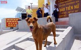 Những cư dân đặc biệt ở Trường Sa vùng biển đảo tiền tiêu Tổ quốc