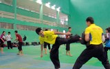 Trưởng đoàn Việt Nam thị sát 
