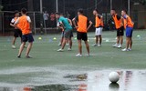 Các ứng viên vô địch 