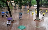 Các ứng viên vô địch 