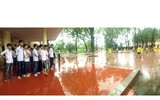 Các ứng viên vô địch 