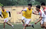 Các ứng viên vô địch 
