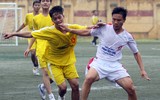 Các ứng viên vô địch 