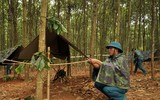 Bộ đội Hà Nội thi bắn súng trường, gói thuốc nổ, võ chiến đấu